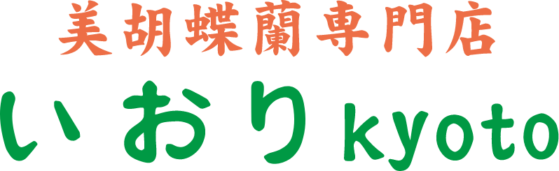 美胡蝶蘭専門店 いおり Kyoto